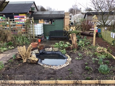 View of a pond within a garden/allotment