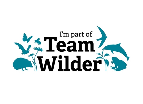 I'm part of Team Wilder logo